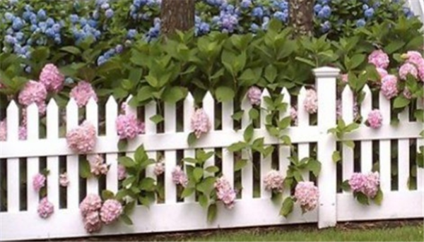 In the episode I published responding to pseudoscience nonsense and delivered in Egyptian dialect, many Egyptian brothe…