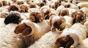 Attacking Fundamentals - Sacrifices as an Example