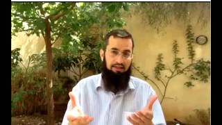 How do we turn insults against the Prophet (peace be upon him) in favor of Islam?